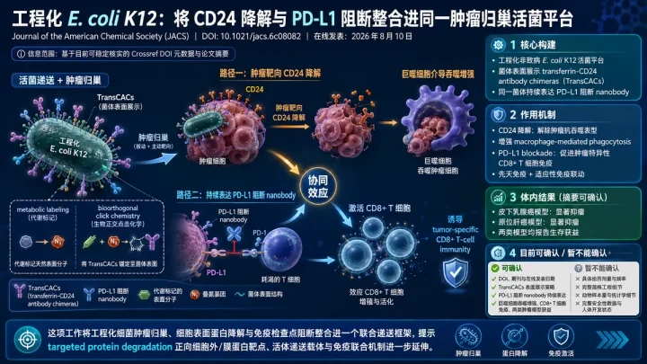 论文速览：工程化非致病菌同步递送 CD24 降解与 PD-L1 阻断，在肿瘤模型中增强抗肿瘤免疫