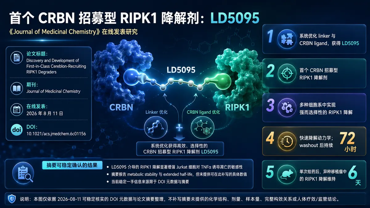 论文速览:首个 CRBN 招募型 RIPK1 降解剂 LD5095 在细胞与异种移植瘤中显示持久降解
