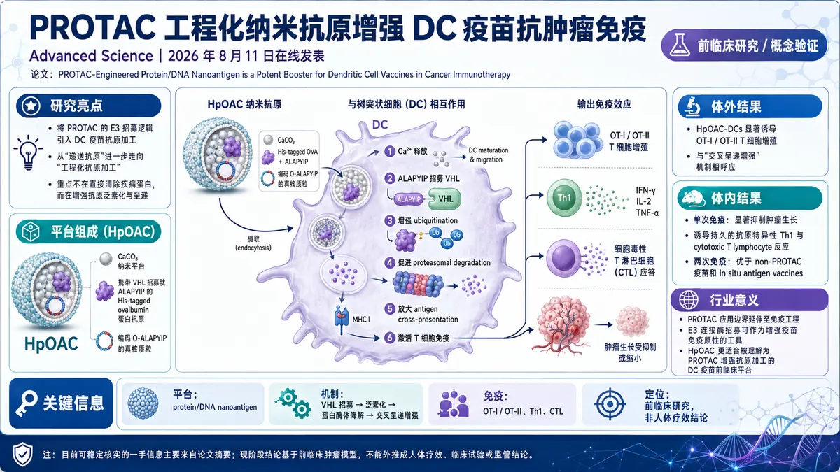 论文速览：PROTAC 蛋白/DNA 纳米抗原增强树突状细胞疫苗，在肿瘤模型中放大交叉呈递与抗肿瘤免疫