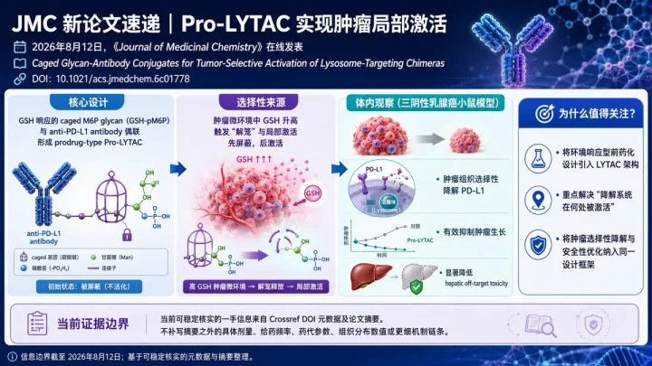 论文速览：GSH 响应 Pro-LYTAC 在肿瘤组织选择性降解 PD-L1，并降低肝脏脱靶毒性
