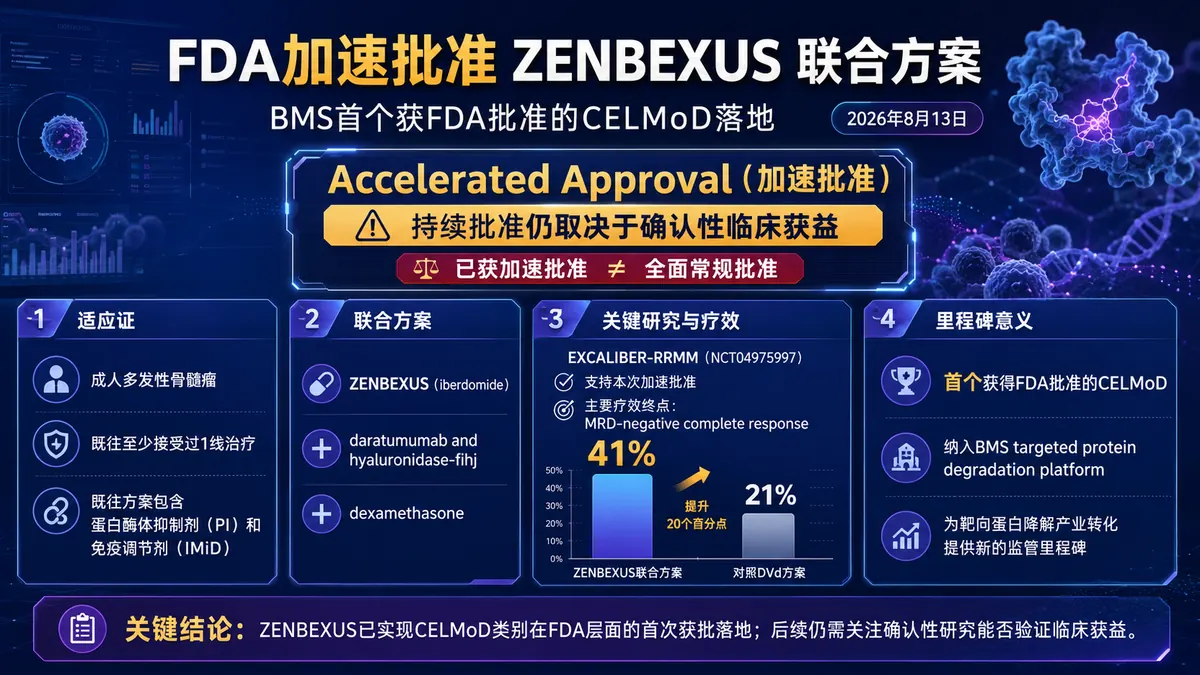 公司新闻:FDA加速批准 ZENBEXUS(iberdomide)联合方案,首个 CELMoD 用于多发性骨髓瘤