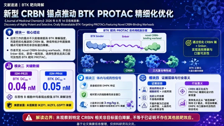 论文速览：新型 CRBN 锚点驱动口服 BTK PROTAC，兼顾强降解与脱靶收敛