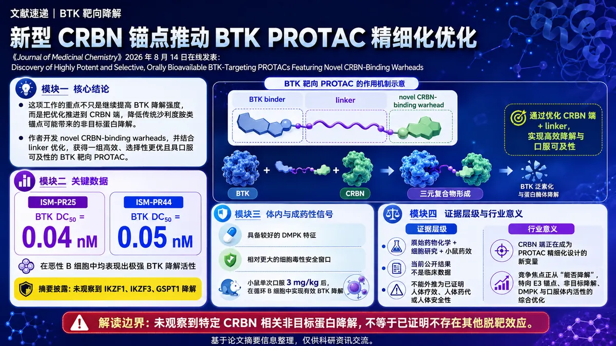 论文速览：新型 CRBN 锚点驱动口服 BTK PROTAC，兼顾强降解与脱靶收敛