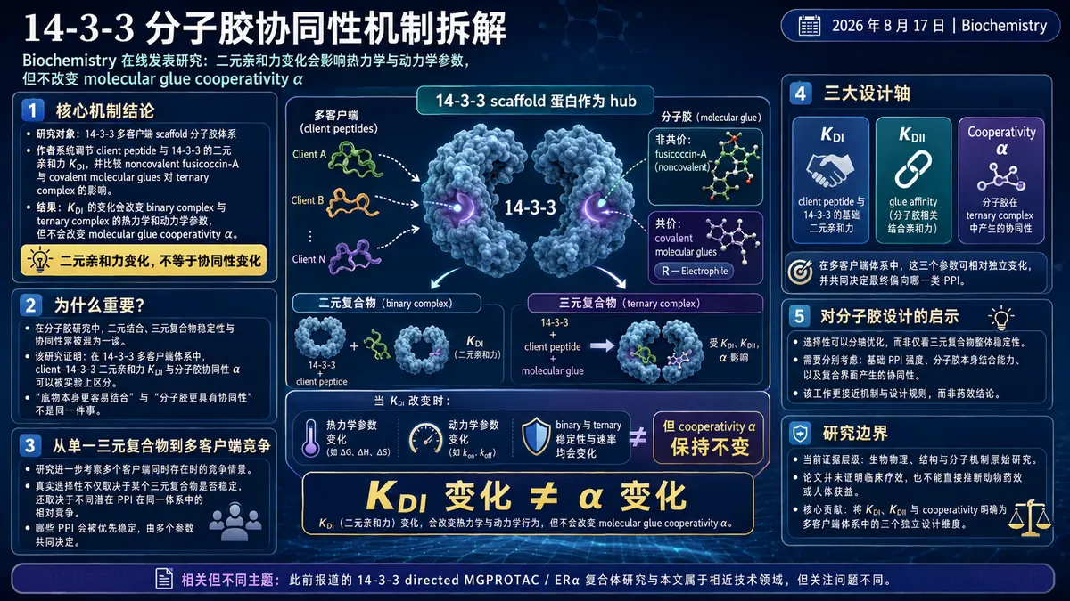 论文速览:14-3-3 分子胶协同性机制拆解,提出多客户端体系三轴设计规则