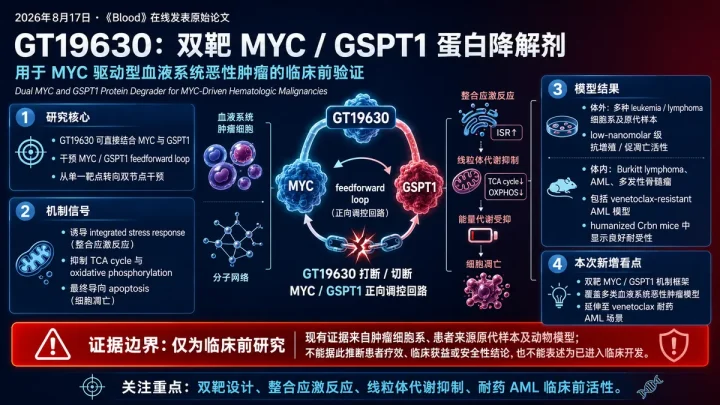 论文速览：双靶 MYC/GSPT1 降解剂 GT19630 在耐药血液瘤模型显示体内活性