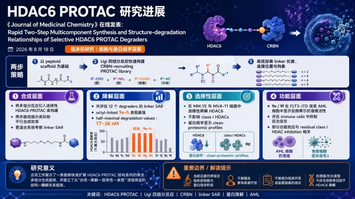 论文速览：两步多组分合成加速 HDAC6 PROTAC 筛选，9e/9f 在 AML 模型显示选择性降解