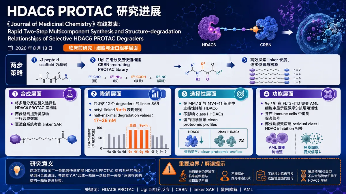 论文速览：两步多组分合成加速 HDAC6 PROTAC 筛选，9e/9f 在 AML 模型显示选择性降解