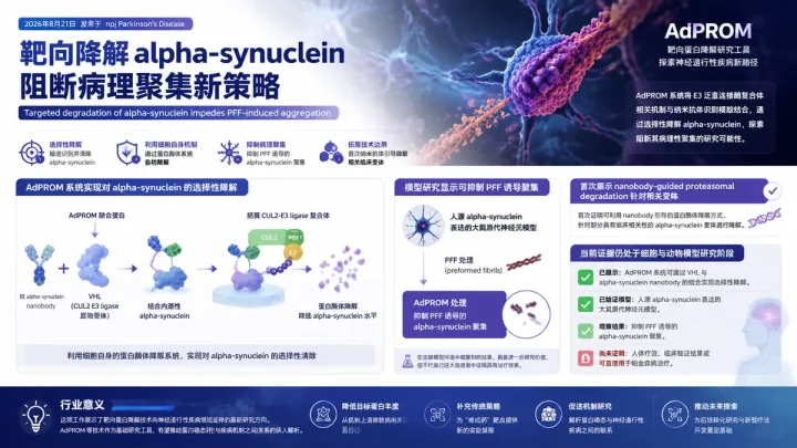 论文速览：AdPROM 纳米抗体定向降解 alpha-synuclein，阻断 PFF 诱导聚集
