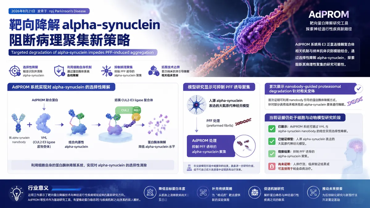 论文速览：AdPROM 纳米抗体定向降解 alpha-synuclein，阻断 PFF 诱导聚集