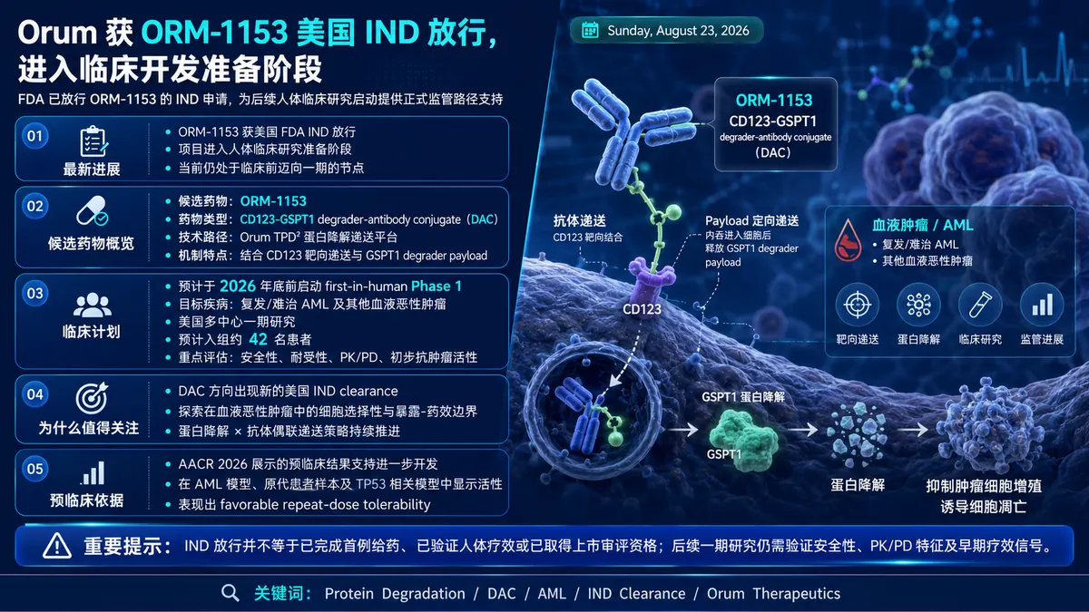 公司新闻：Orum 的 CD123-GSPT1 DAC ORM-1153 获美国 IND 放行，瞄准 AML 一期入场
