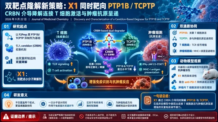 论文速览：CRBN 降解剂 X1 同时靶向 PTP1B 与 TCPTP，增强抗原呈递和抗 PD-1 反应
