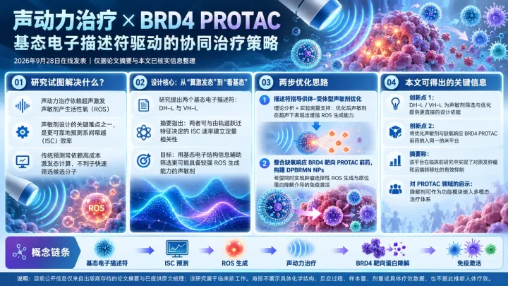 论文速览：基态描述符指导声敏剂设计，联合BRD4 PROTAC增强声免疫治疗