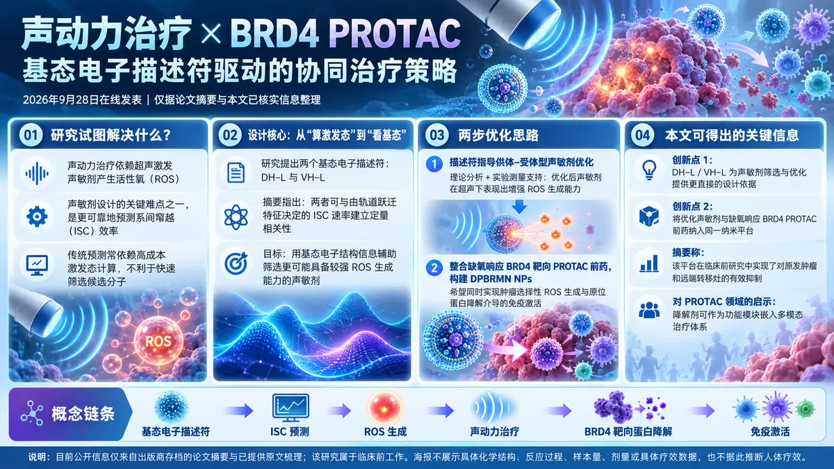 论文速览:基态描述符指导声敏剂设计,联合BRD4 PROTAC增强声免疫治疗