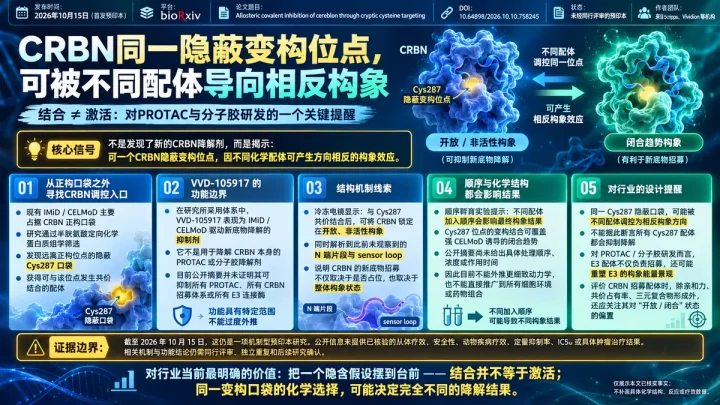 预印本速览：Cys287共价配体锁定CRBN开放构象，抑制分子胶驱动降解