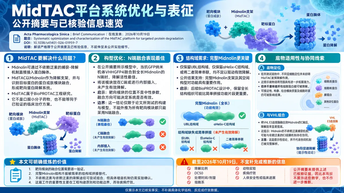 论文速览:MidTAC系统优化揭示Midnolin降解平台的构型与结构域边界