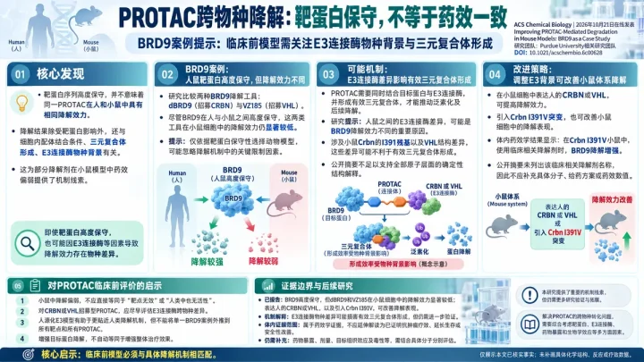 论文速览：BRD9研究揭示人鼠E3差异，人源化模型增强PROTAC降解