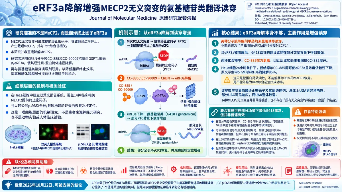 论文速览:eRF3a分子胶降解增强MECP2无义突变读穿,细胞研究揭示组合效应