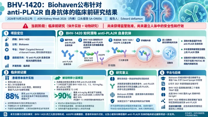 公司新闻：Biohaven公布BHV-1420临床前数据，TRAP降解剂靶向清除膜性肾病自身抗体