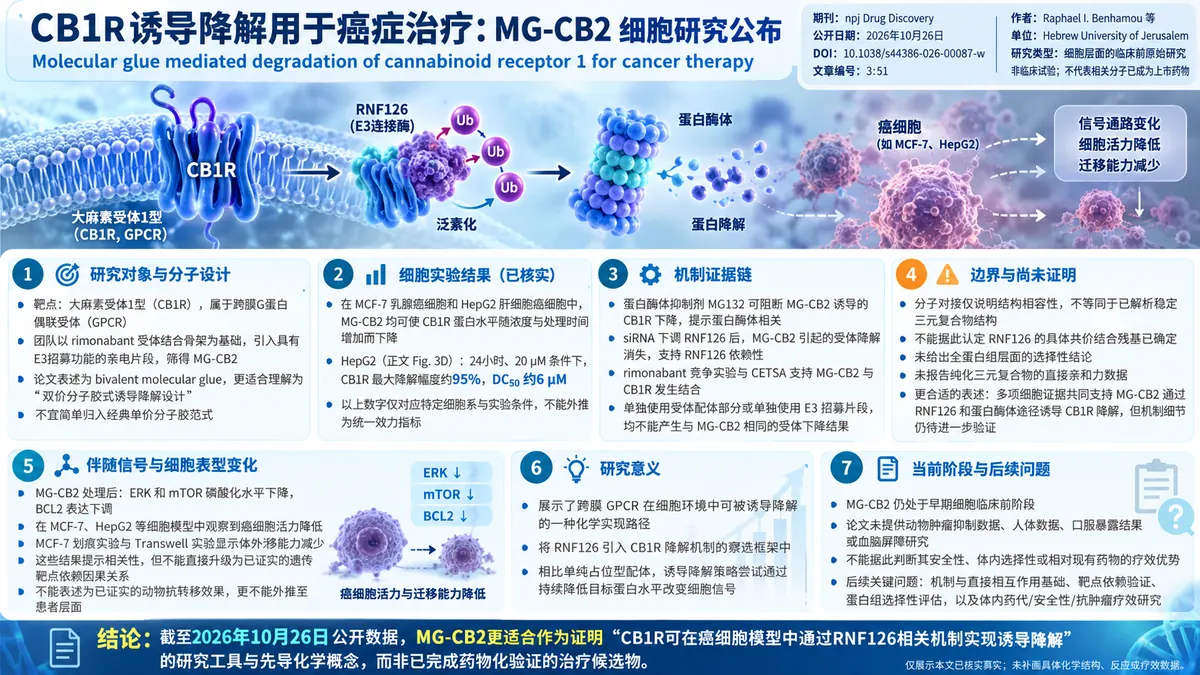 论文速览:MG-CB2诱导CB1受体降解,细胞研究支持RNF126依赖机制