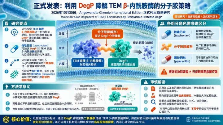 论文速览：DegP分子胶降解TEM型β内酰胺酶，探索细菌周质抗耐药路径